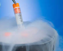 Will a frozen #IVF cycle work?