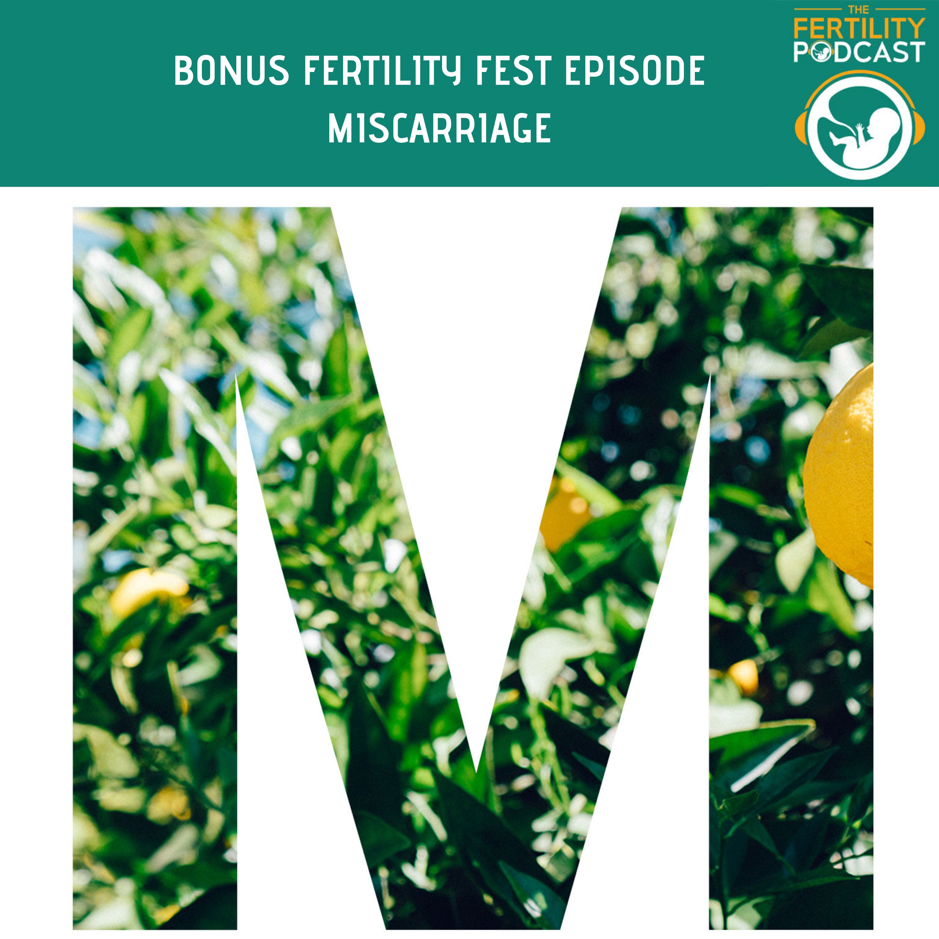 BONUS EPISODE *FERTILITY FEST MISCARRIAGE*