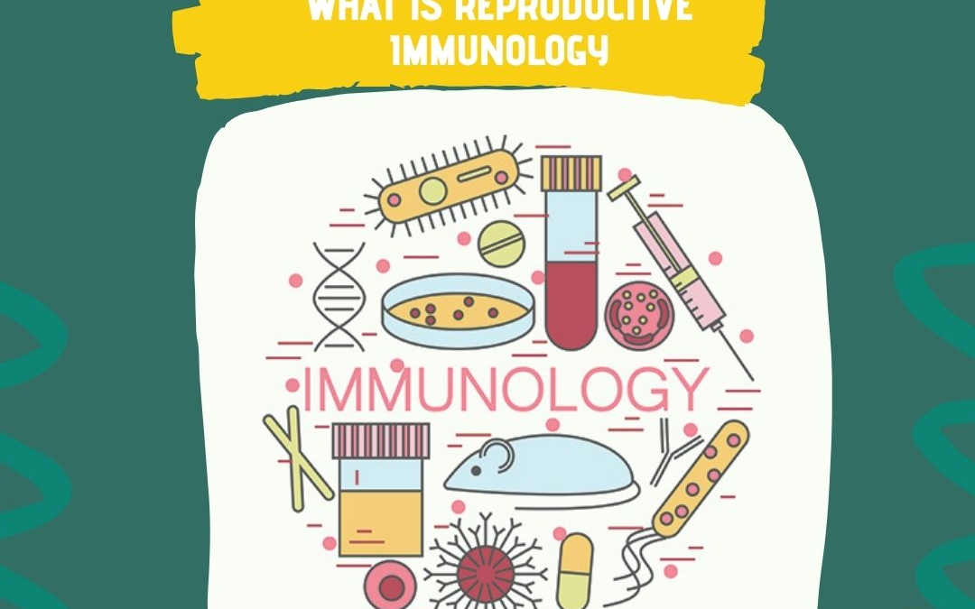 What is Reproductive Immunology?