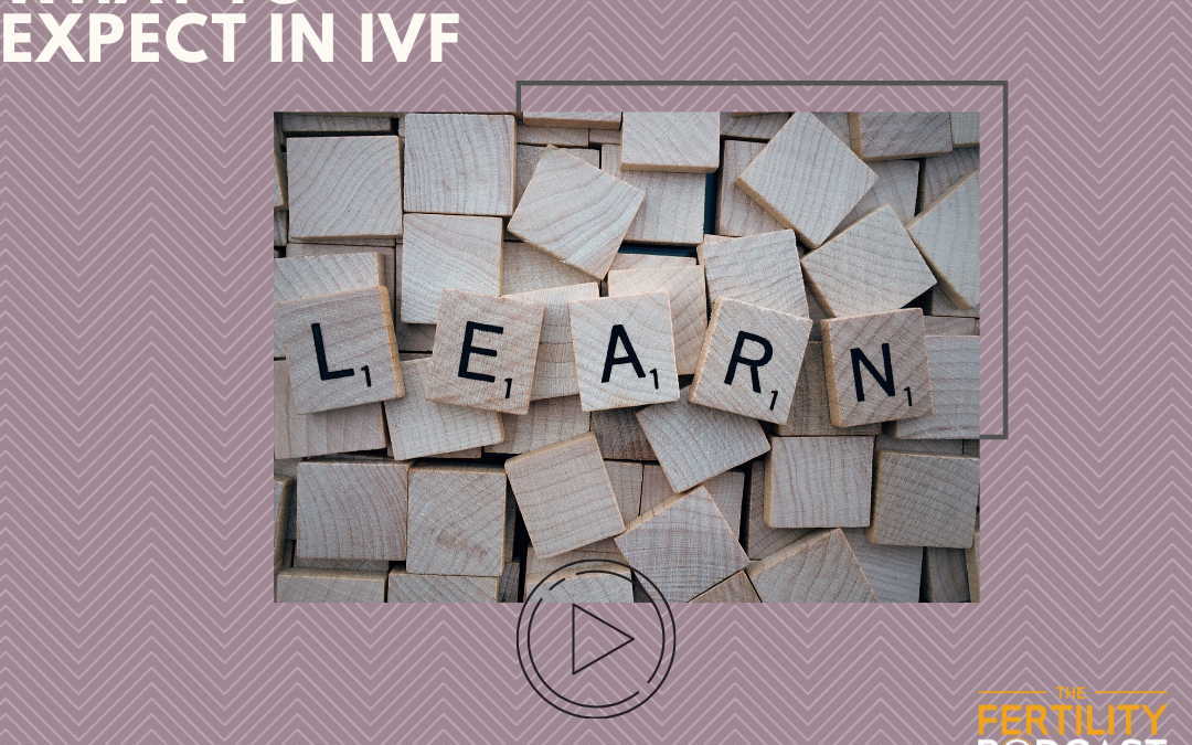 What to expect in IVF