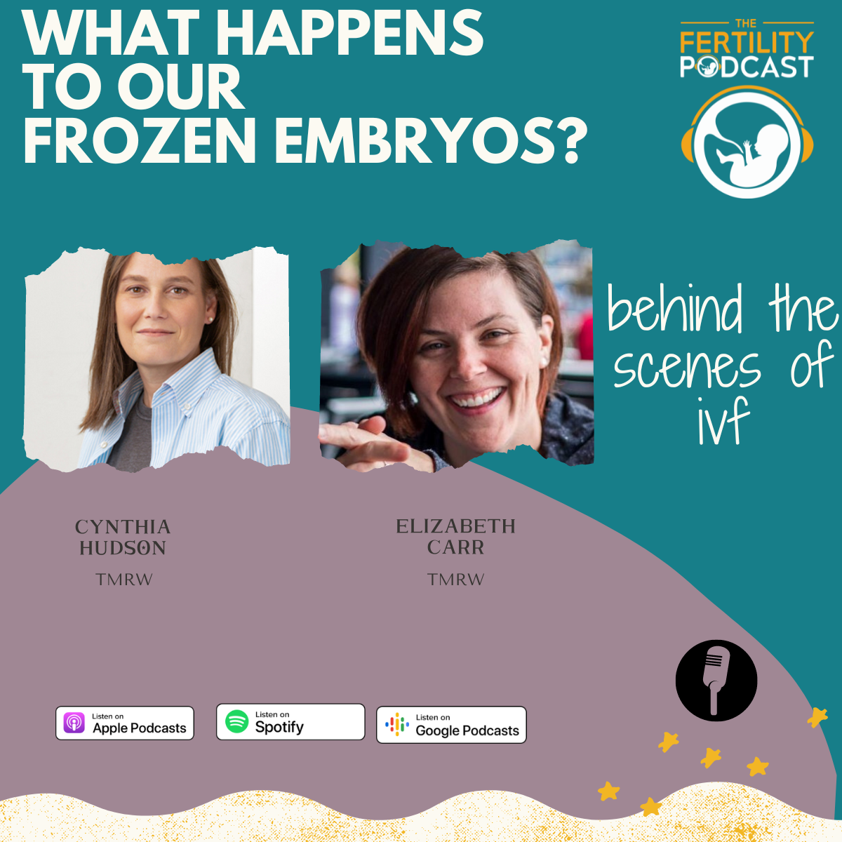 What happens to our Frozen Embryos?