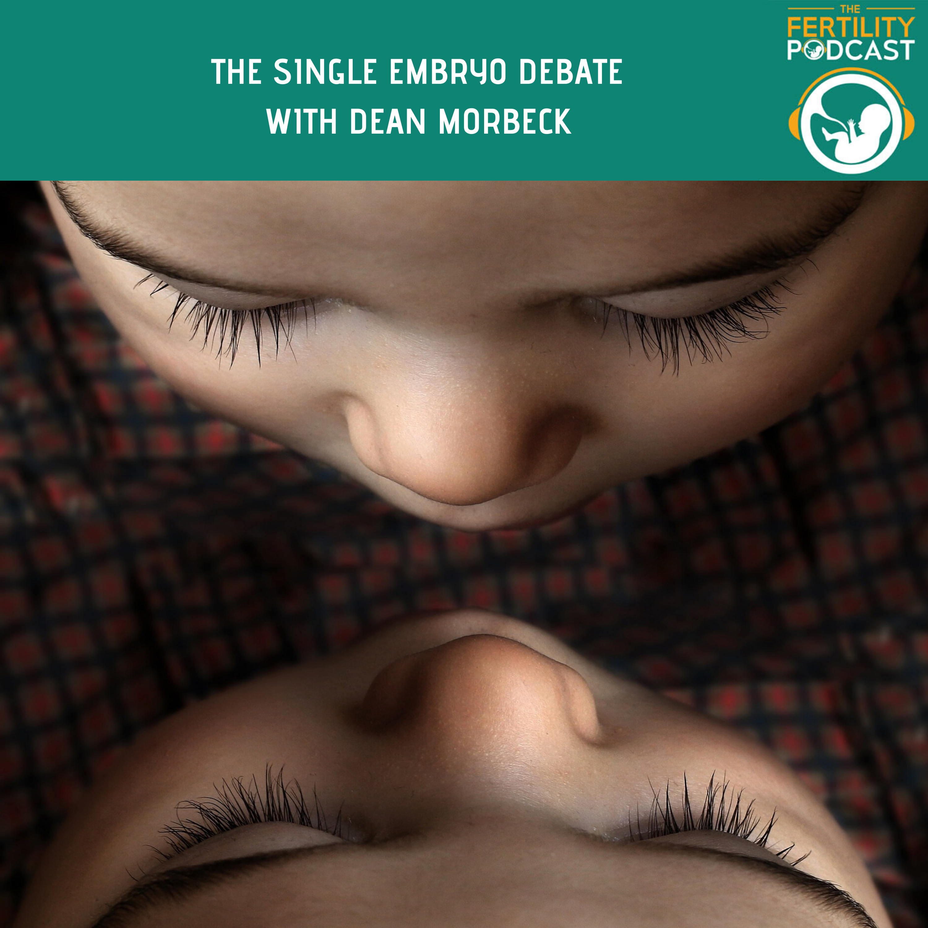 The Single Embryo debate