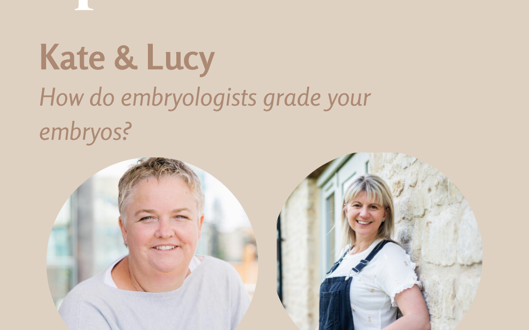 How do embryologists grade your embryos?