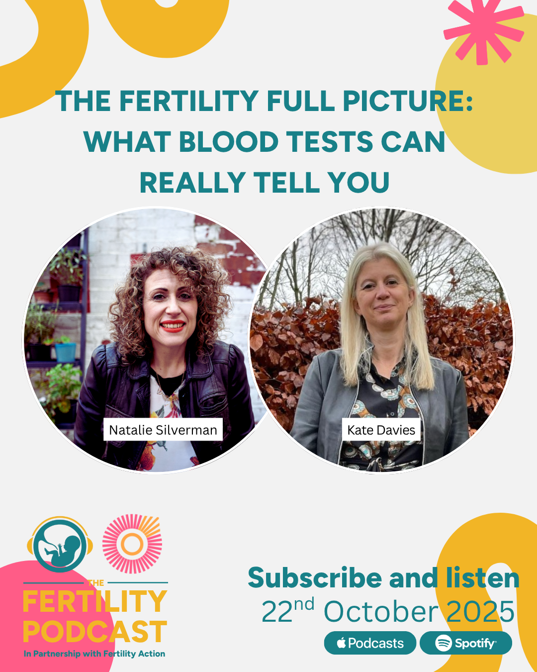 The Fertility Full Picture: What Blood Tests Can Really Tell You